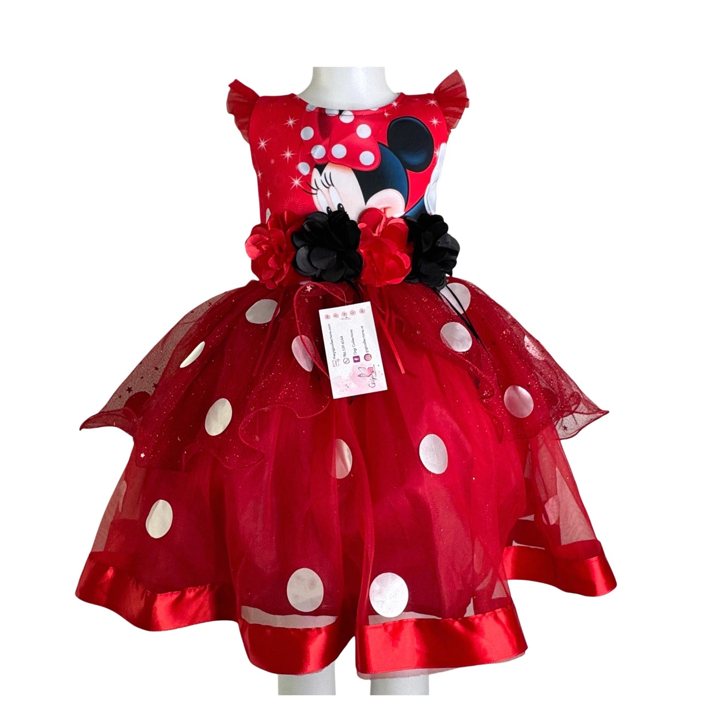 Minnie Mouse Red Polka Dot Birthday Dress with Ears